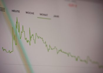 Understanding the Gig Economy: Pros, Cons, and Potential