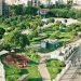 Urban Jungle: The Role of Green Architecture in Modern Cities