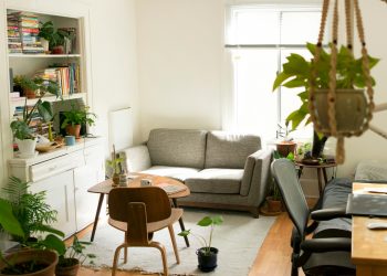 Eco-Friendly Living: 10 Simple Ways to Make Your Home Greener