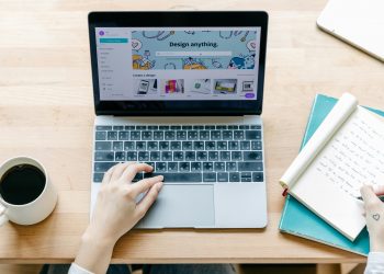 History of Homeless Management Information Systems