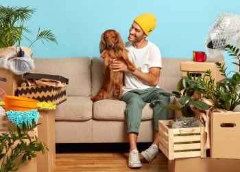 Moving with Pets from One City to Another in the UK: Tips for a Smooth Transition