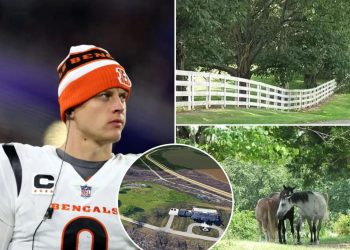 Jessica Fulk’s Wine-Fueled Rant: Is Joe Burrow’s House Even Real or Am I Hallucinating?