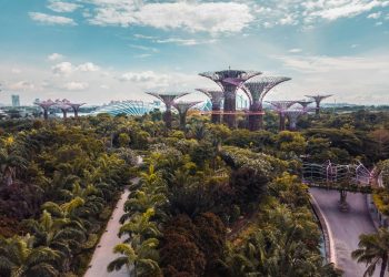 Are Foreigners Accepted in Singapore Society?