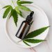 CBD Oil: A Natural Remedy for Everyday Wellness