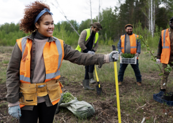 How to Find a Reliable Commercial Landscape Contractor in Butler County