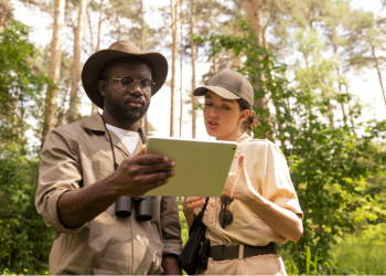 Your Dream African Honeymoon: The Definitive Guide to Booking the Trip of a LifetimeThe Ultimate Question: When Should You Book Your African Safari Escape?